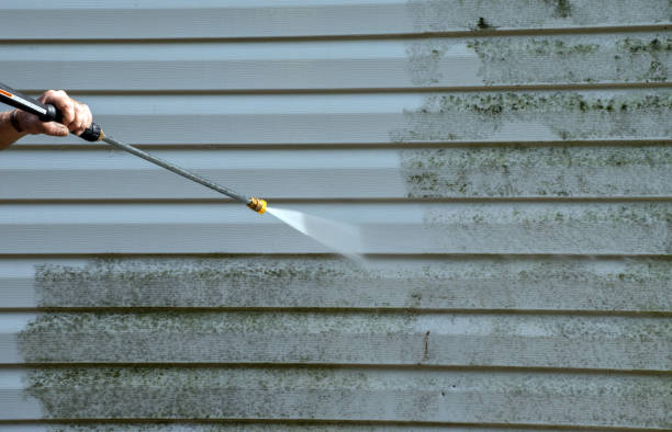 Best Mold Remediation  in Montpelier, OH